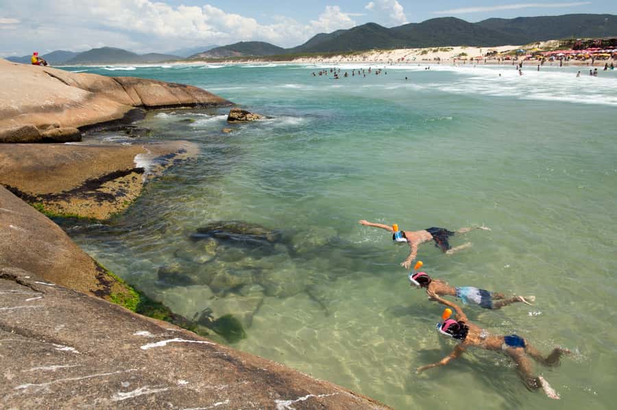City Tour Florianópolis - Lagoa da Conceição, Joaquina, and Praia Mole