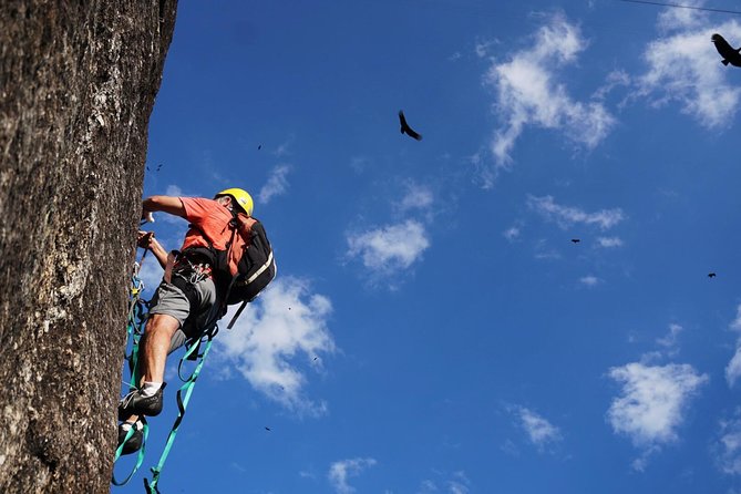 Climb Rio de Janeiro: Rock Climbing Tailored for All Levels - Choosing the right climbing route