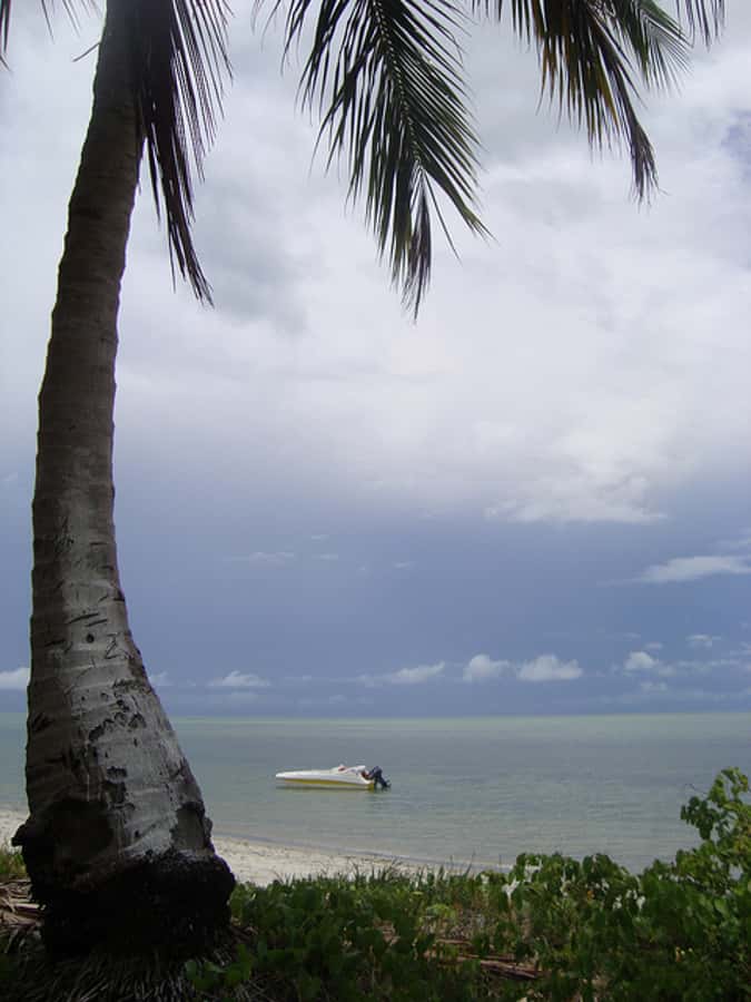 Colonial North Coast beaches - Full-Day Tour - Key points to know before booking