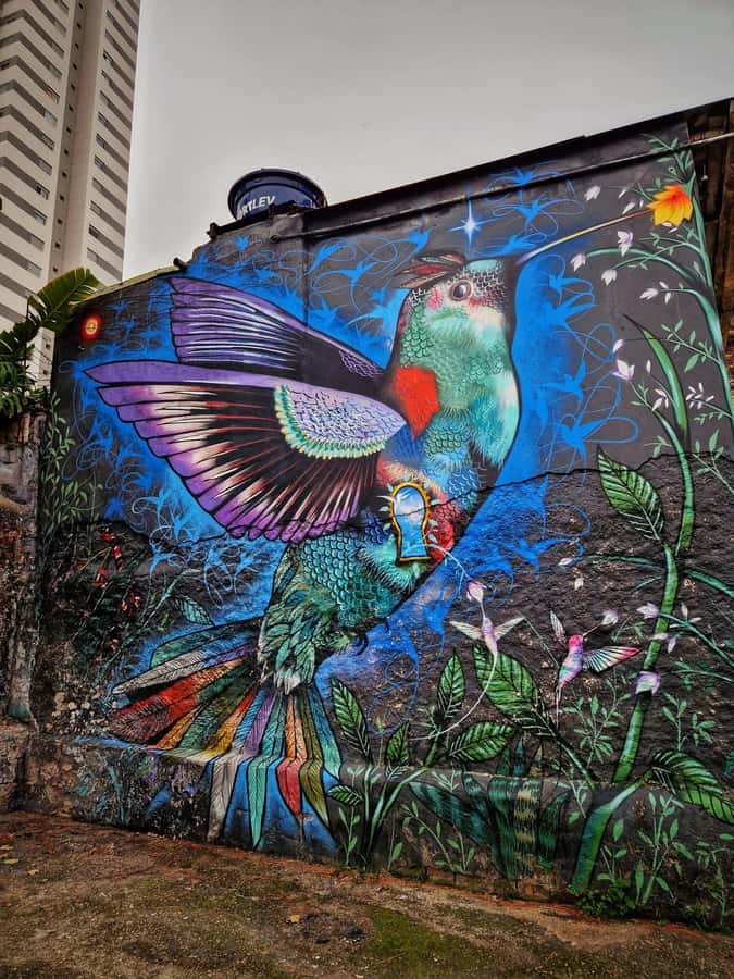 Companionship of a bilingual guide in São Paulo - Choosing your São Paulo day