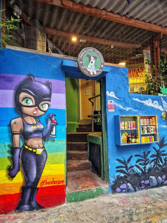 Companionship of a bilingual guide in São Paulo - What the $80 price really covers