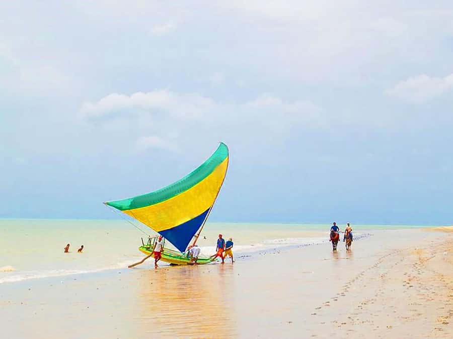 Cumbuco Adventure: Dune Rides, Lagoa do Catu & Coastal Views - Who Will Enjoy This Day Most?