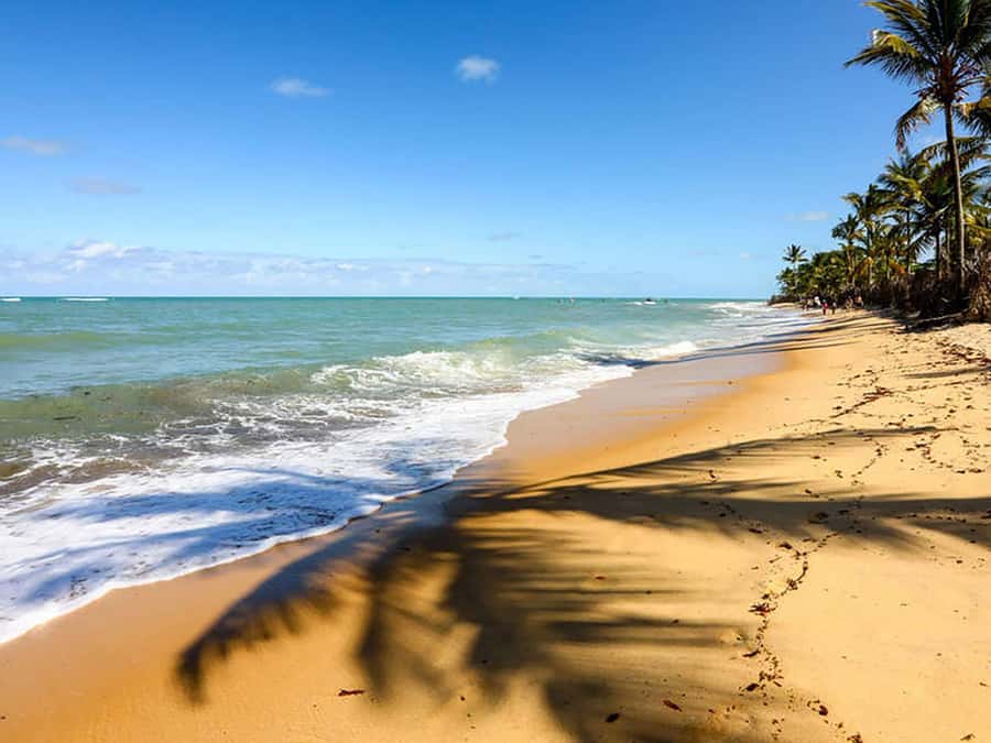 Cumbuco in 1 Day: Unforgettable Tour - The buggy ride over Cumbuco’s golden dunes