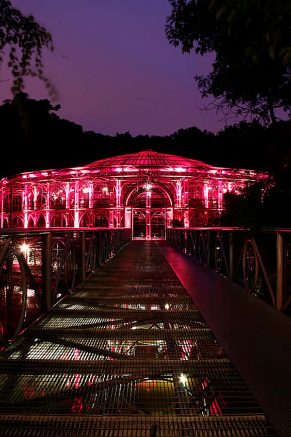 Curitiba: 4-Hour City-By-Night Tour with Dinner - What this Curitiba evening actually covers