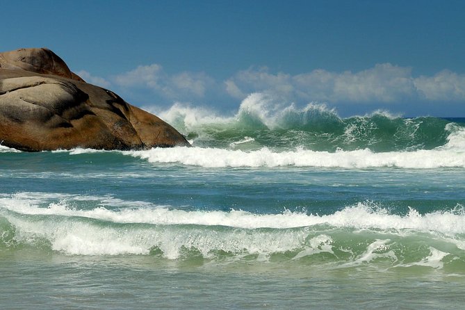 Discover Florianópolis: Full Day City Tour and Local Highlights - Barra da Lagoa, lunch, and the longest pause