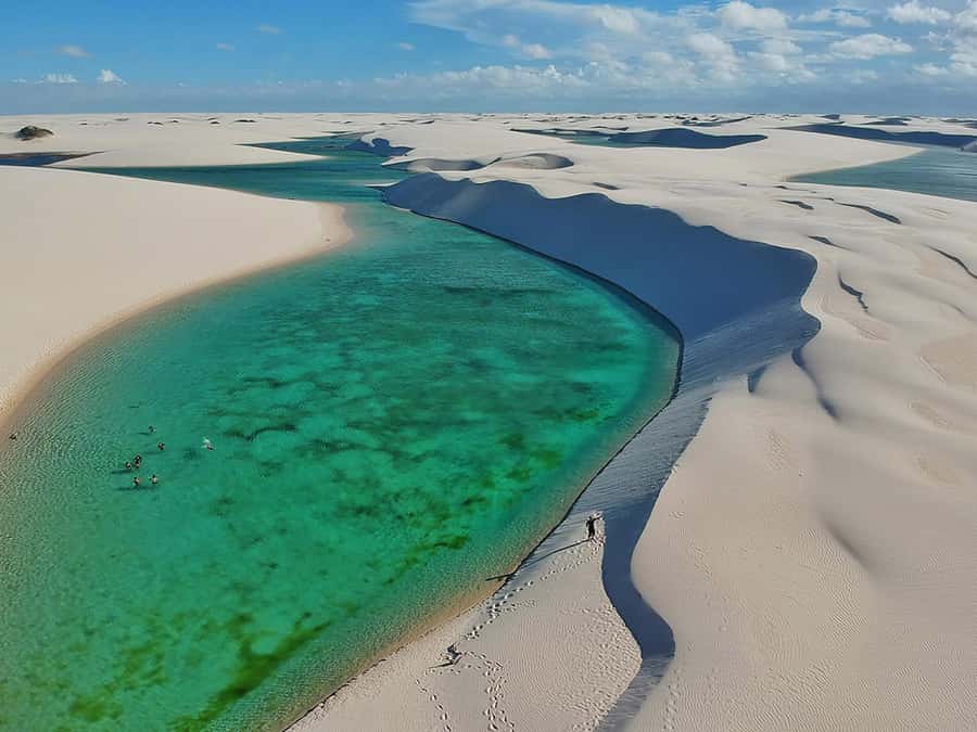 Discover Lagoa Azul & Maranhao: Half Day - Wildlife beyond the water
