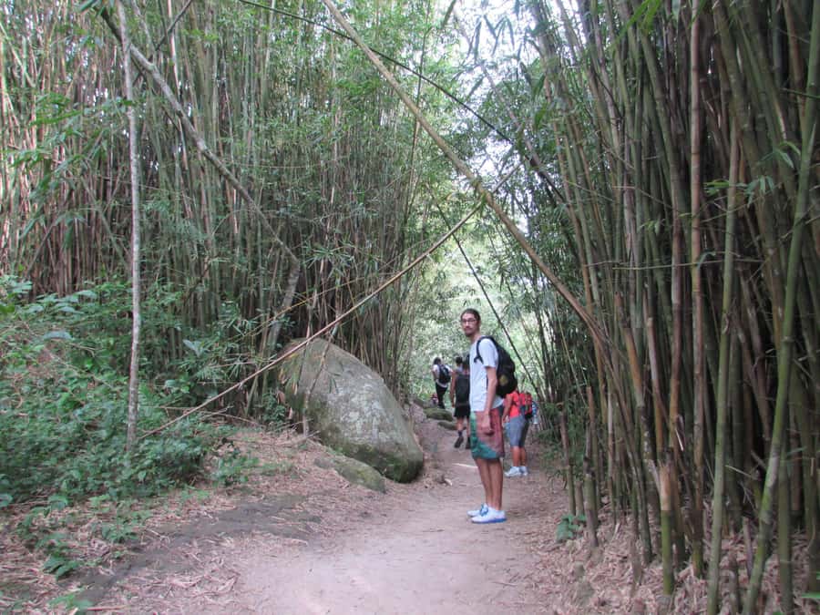 Discover Pedra do Telégrafo: Scenic Hike with Expert Guide - Why Pedra do Telégrafo is more than a photo stop