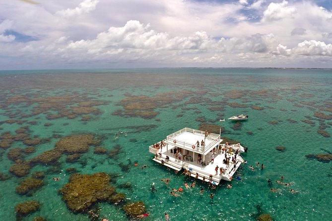 Discover Underwater Beauty: Explore Maracajaú's Parrachos Reef - The morning coach ride from Natal