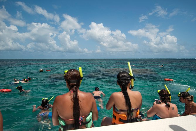 Discover Underwater Beauty: Explore Maracajaú's Parrachos Reef - Praia de Maracajaú and lunch by the water
