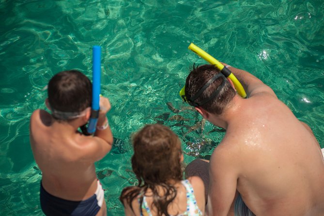Discover Underwater Beauty: Explore Maracajaú's Parrachos Reef - Seeing coral and fish from the floating platforms