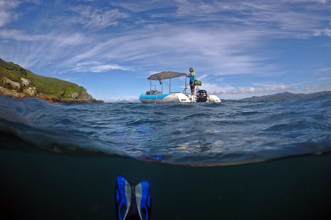 Diving with Turtles in Floripa - Starting Early at Barra Náutica