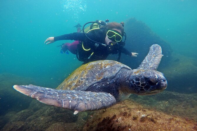 Diving with Turtles in Floripa - The Boat Ride Toward Xavier Island