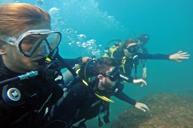 Diving with Turtles in Floripa - Who Will Enjoy This Most
