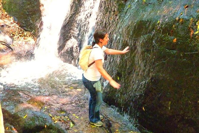 Ecological walk in sao paulo - Key points to know before you book