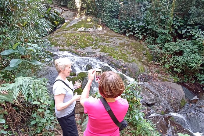 Ecological walk in sao paulo - A rainforest outing at São Paulo’s doorstep