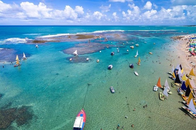 Excursion to Porto de Galinhas in Pernambuco - Key points to know before you book
