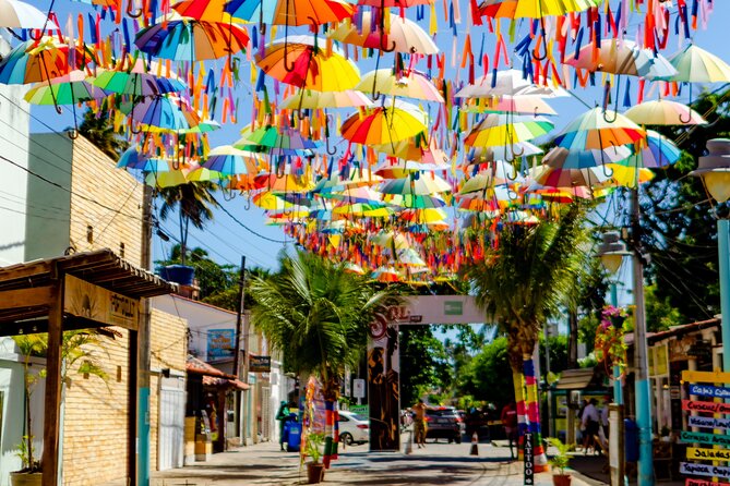 Excursion to Porto de Galinhas in Pernambuco - Who should choose this beach excursion?