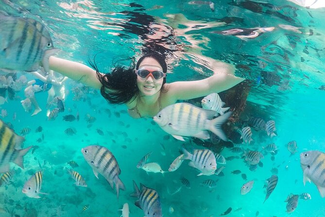 Exploring Angra Dos Reis and Ilha Grande in One Day - Lagoa Azul, fish, and the final swim