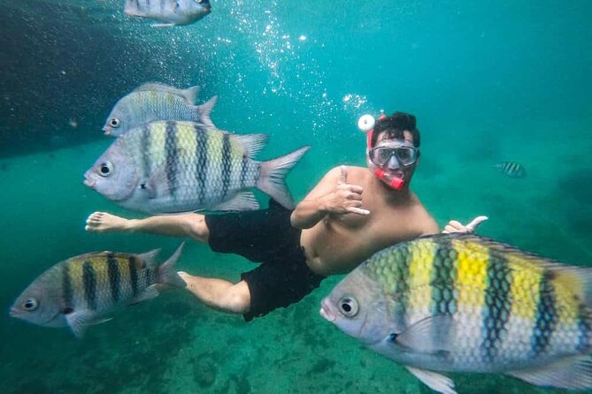 Exploring Angra Dos Reis and Ilha Grande in One Day - Freguesia de Santana and Lagoa Verde