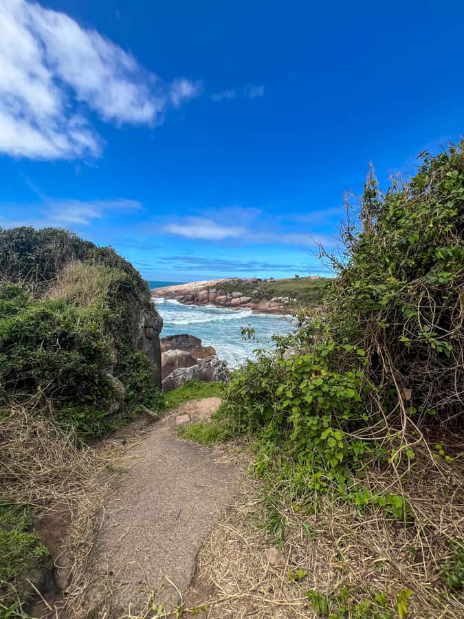 Florianopolis: Gravata Beach Trail with Picnic - Key points to know before you go