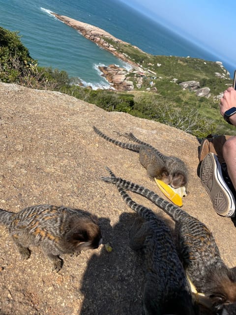 Florianopolis: Gravata Beach Trail with Picnic - A Brazilian picnic by the bay