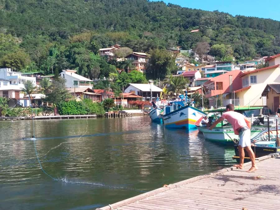 Florianópolis: Historical Center, Beach & Nature Tour - Joaquina Beach for One Hour