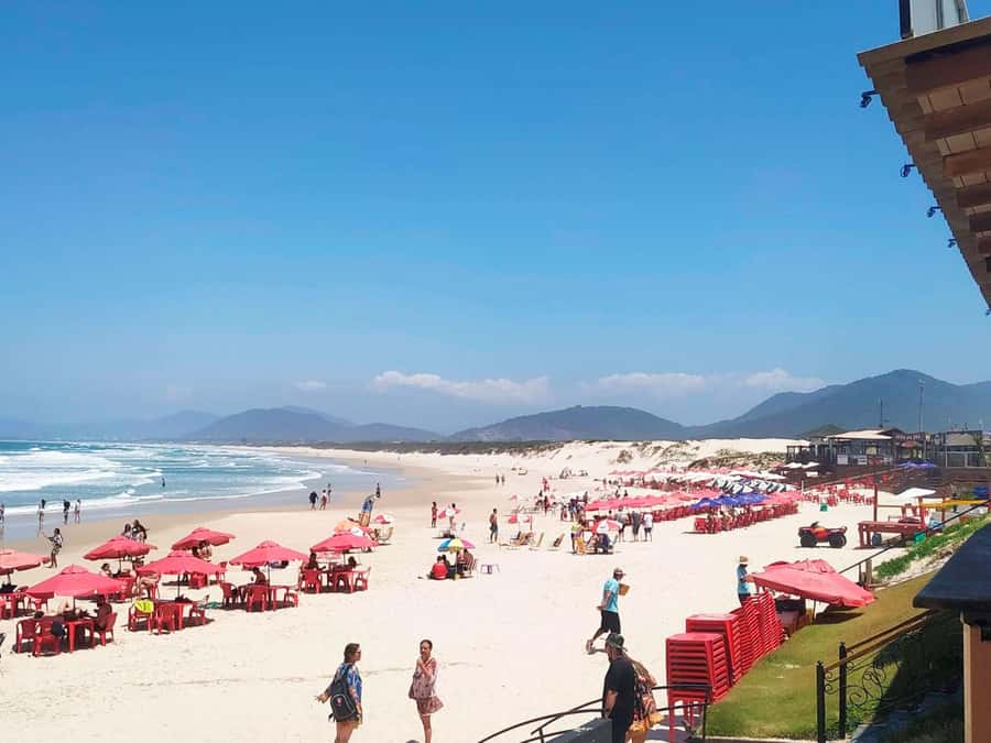 Florianópolis: Historical Center, Beach & Nature Tour - What the $23 Price Really Covers