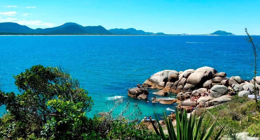 Florianópolis: Historical Center, Beach & Nature Tour - Hercílio Luz Bridge and the City View