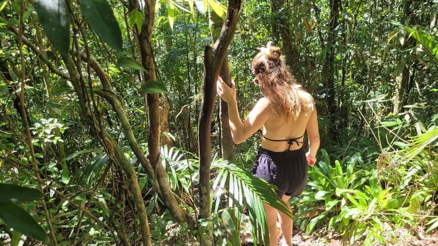 Florianopolis: Lagoinha do Leste Natural Park Hike - Pico Top Crown gives the route its high point