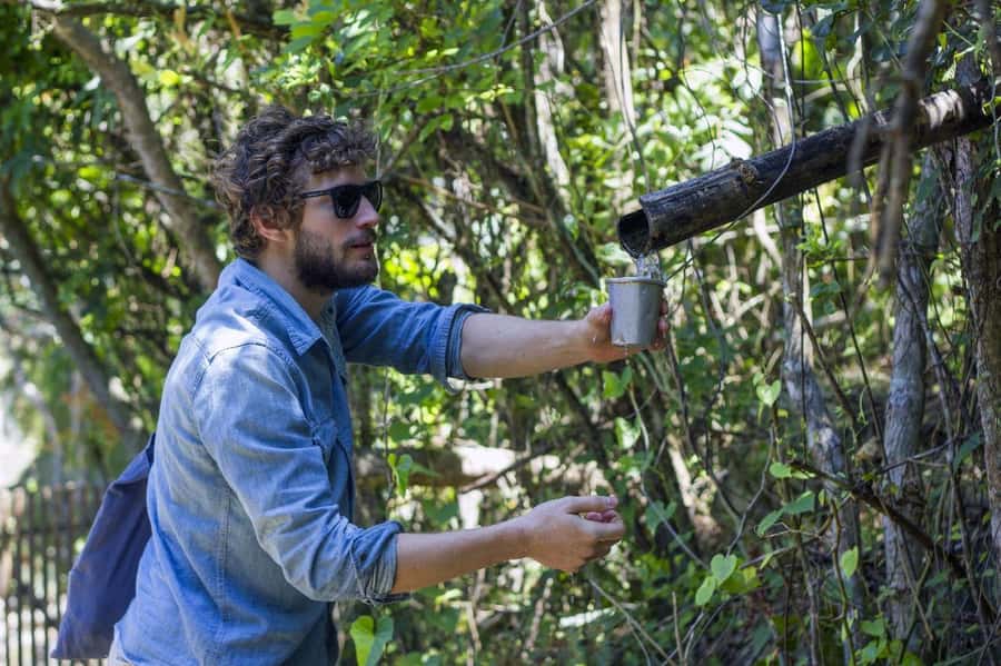 Florianopolis: Lagoinha do Leste Natural Park Hike - Regional food finishes the outing