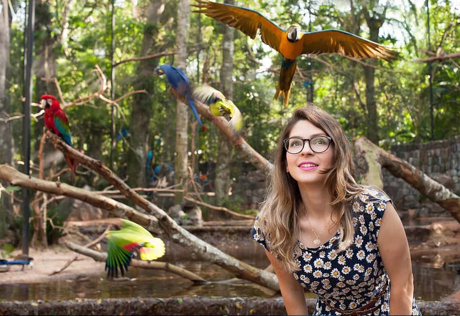 Foz do Iguaçu: Bird Park Tour with Tickets - Alligators, reptiles, and the smaller nurseries