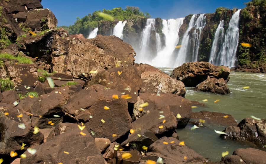 Foz do Iguaçu: Brazilian Side of the Falls - Who should book this visit