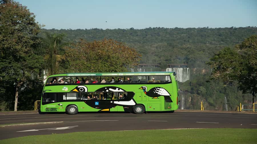 Foz do Iguaçu: Brazilian Side of the Falls + Bird Park - Bird Park gives the day a closer, slower start