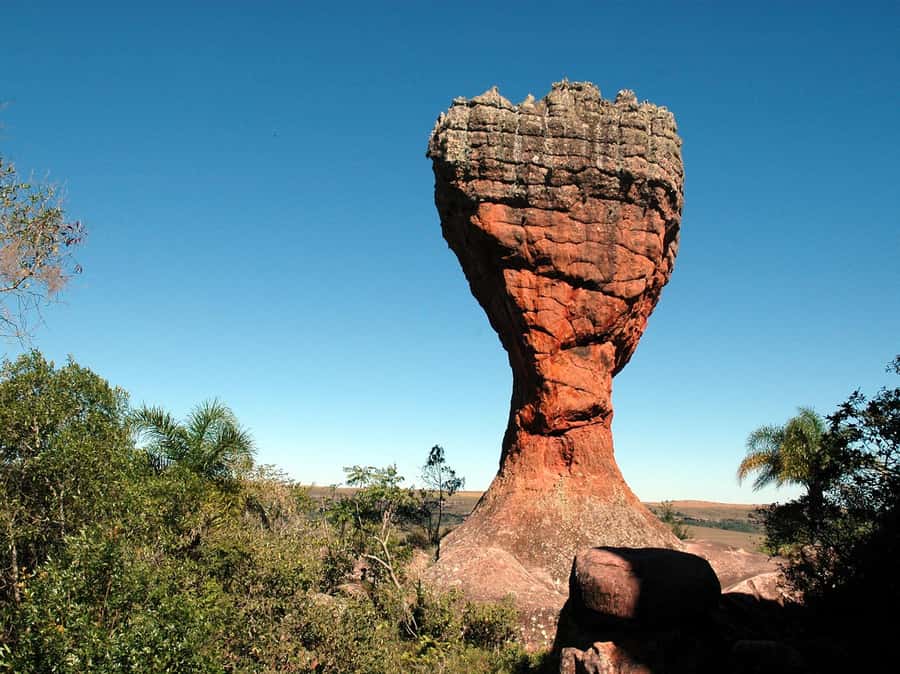From Curitiba: Vila Velha State Park Full-Day Group Tour - Who Will Enjoy This Tour Most