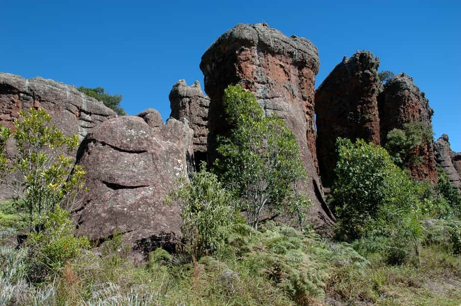 From Curitiba: Vila Velha State Park Full-Day Group Tour - Booking Details Worth Noting