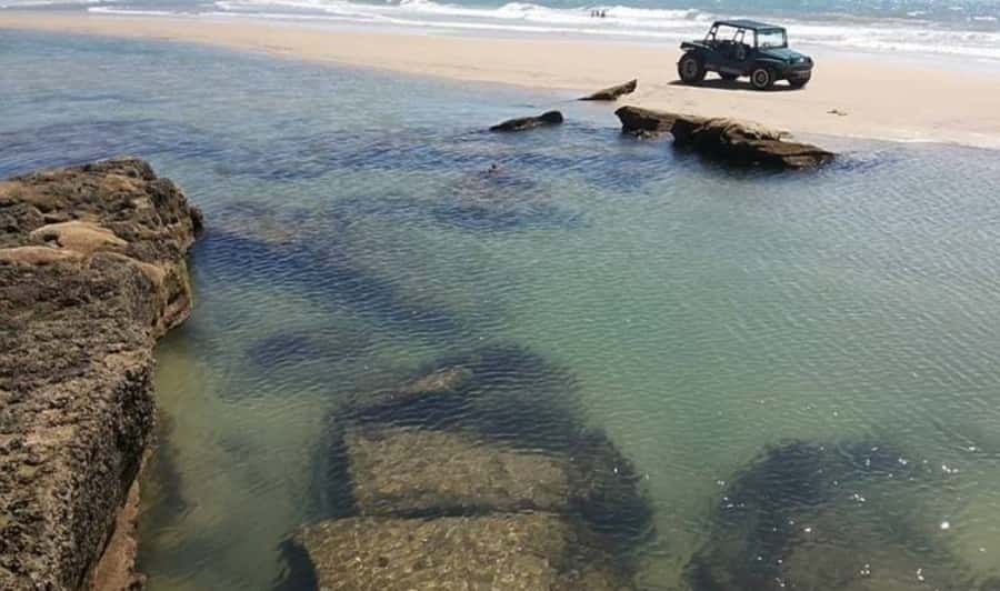 From Fortaleza: Águas Belas Beach Day Trip - What you see around Águas Belas