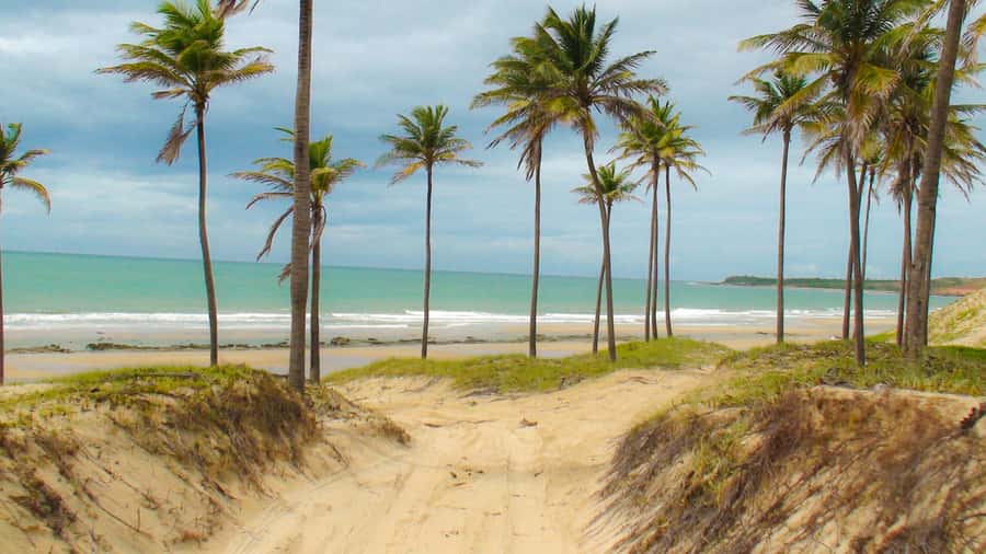 From Fortaleza: Lagoinha Beach Day Trip - The long road from Fortaleza to Lagoinha