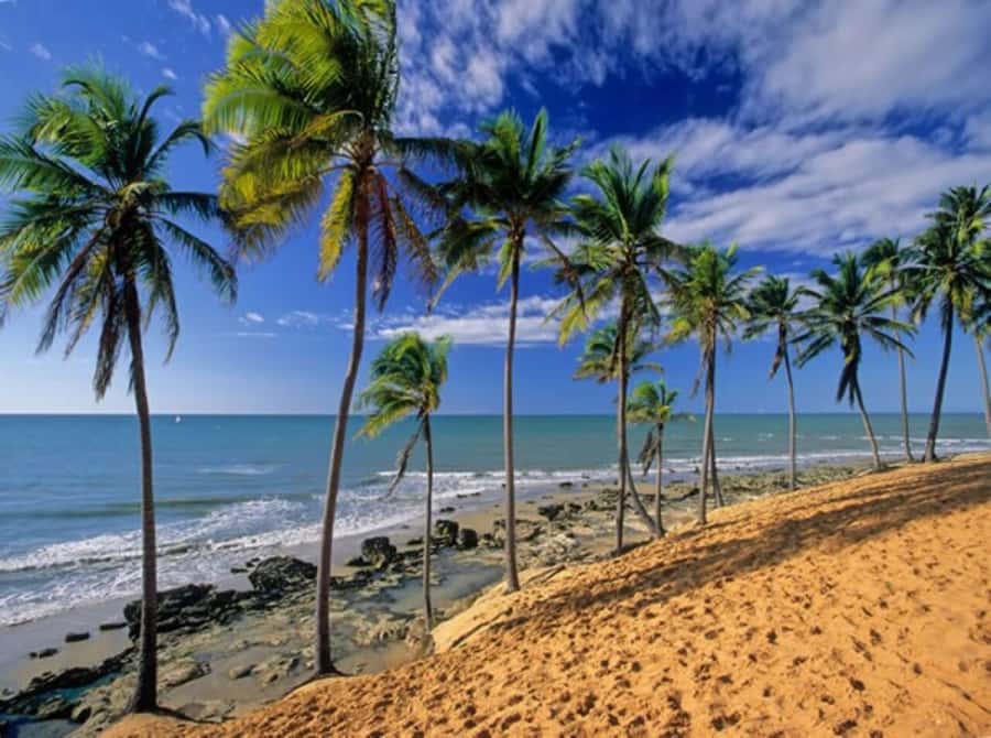 From Fortaleza: Lagoinha Beach Day Trip - Lunch comes before beach time