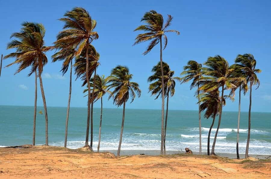 From Fortaleza: Lagoinha Beach Day Trip - The guide can make a real difference