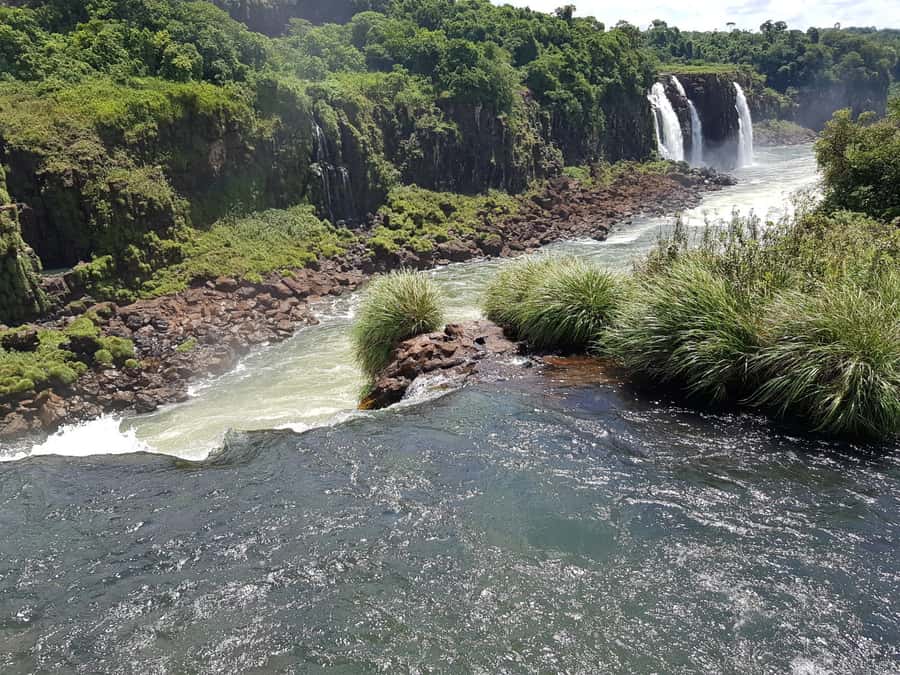 From Foz do Iguaçu: Brazilian Falls and Bird Park Tour - Transport, timing, and the real price