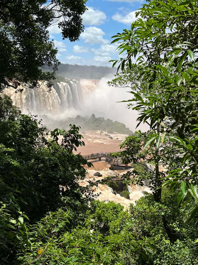 from Foz do Iguaçu: Private Tour on Argentinean Falls - The Upper Circuit opens the view