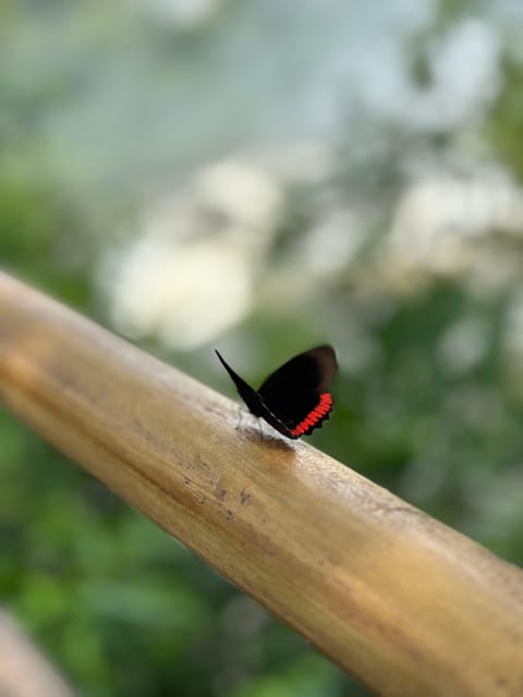 from Foz do Iguaçu: Private Tour on Argentinean Falls - Extra stops after the falls