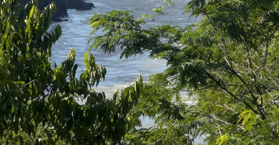 from Foz do Iguaçu: Private Tour on Argentinean Falls - Price, timing, and what the fee really covers