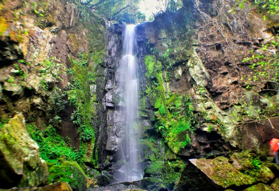 From Foz do Iguaçu: Secret Falls Adventure - Why Secret Falls feels different from the main Iguazu visit