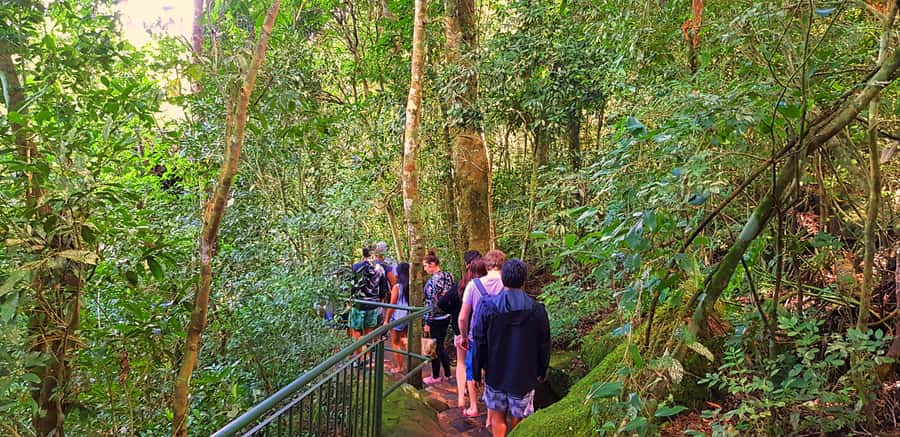 From Foz do Iguazu: Brazil Iguazu Falls & Macuco Safari Boat - The Macuco Safari boat ride