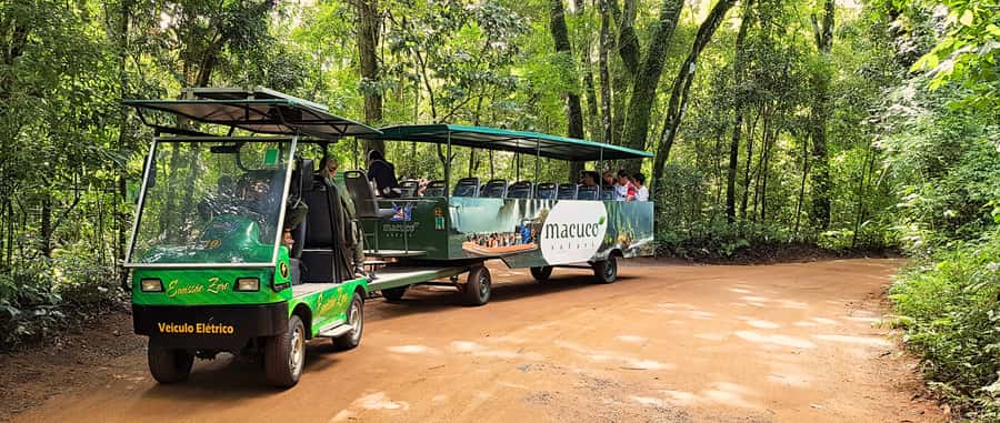 From Foz do Iguazu: Brazil Iguazu Falls & Macuco Safari Boat - Timing, queues, and the price of $134