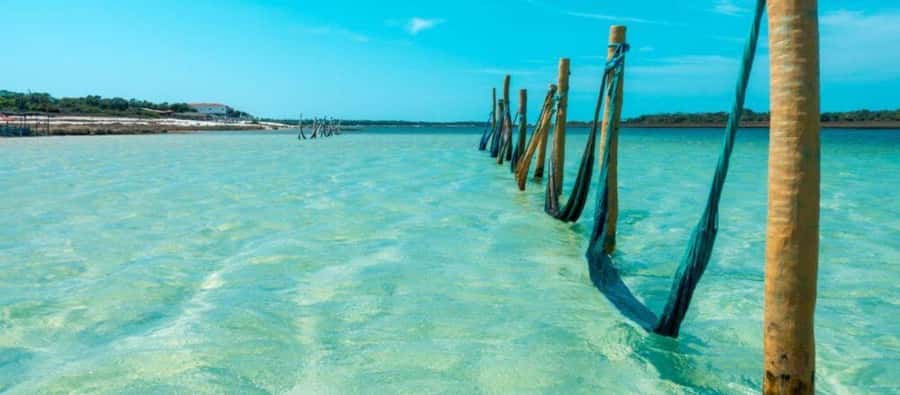 From Jericoacoara: Preá Beach and Paradise Lagoon Tour - Communication with a Portuguese-speaking driver