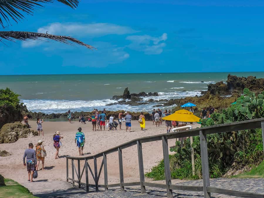 From João Pessoa: Full-Day Southern Coast Beaches Tour - Who will enjoy this beach tour most