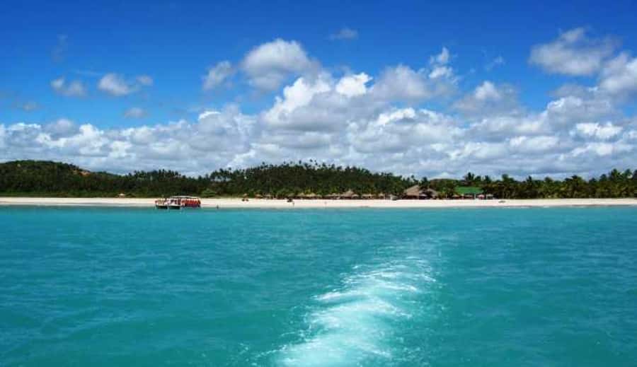 From Maceio: Gunga Beach & Full-Day Tour - Key points to know before you book