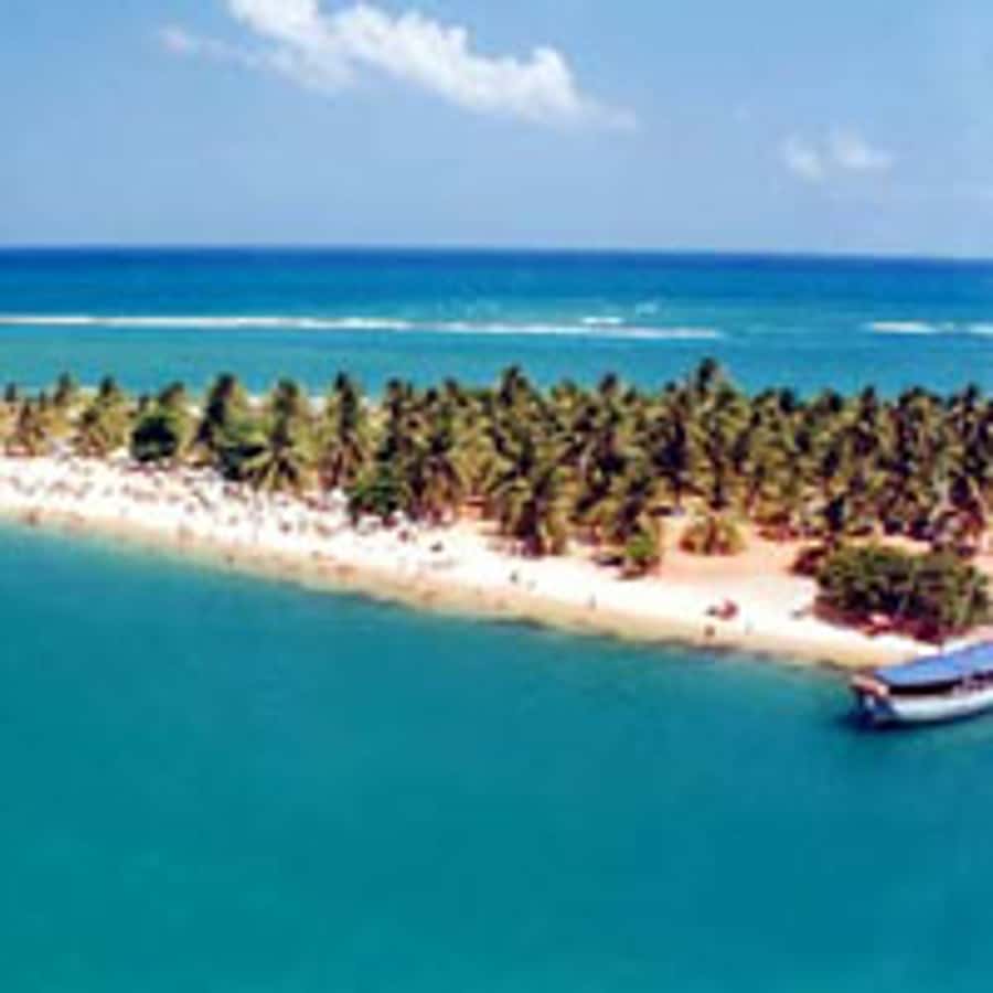 From Maceio: Gunga Beach & Full-Day Tour - Why Gunga Beach makes a good day trip from Maceio